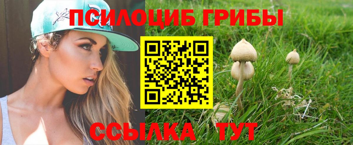 Псилоцибиновые грибы MAGIC MUSHROOMS  Вход с VPN  Псилоцибиновые грибы прущие грибы  Тихорецк 