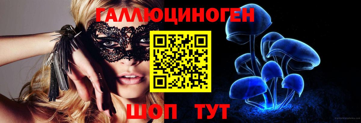 Псилоцибиновые грибы Cubensis Тихорецк